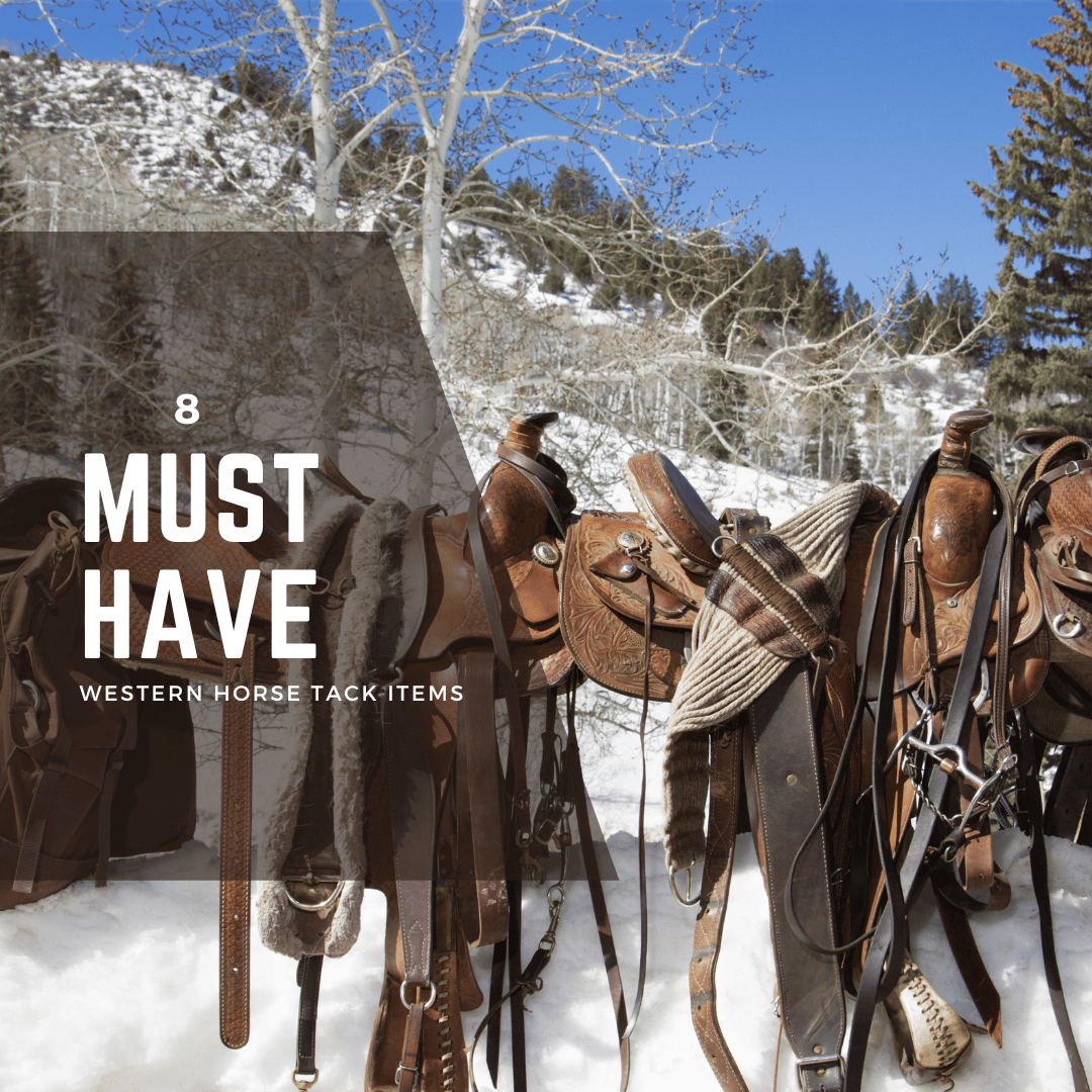 Western Horse Saddles Hanging On Fence