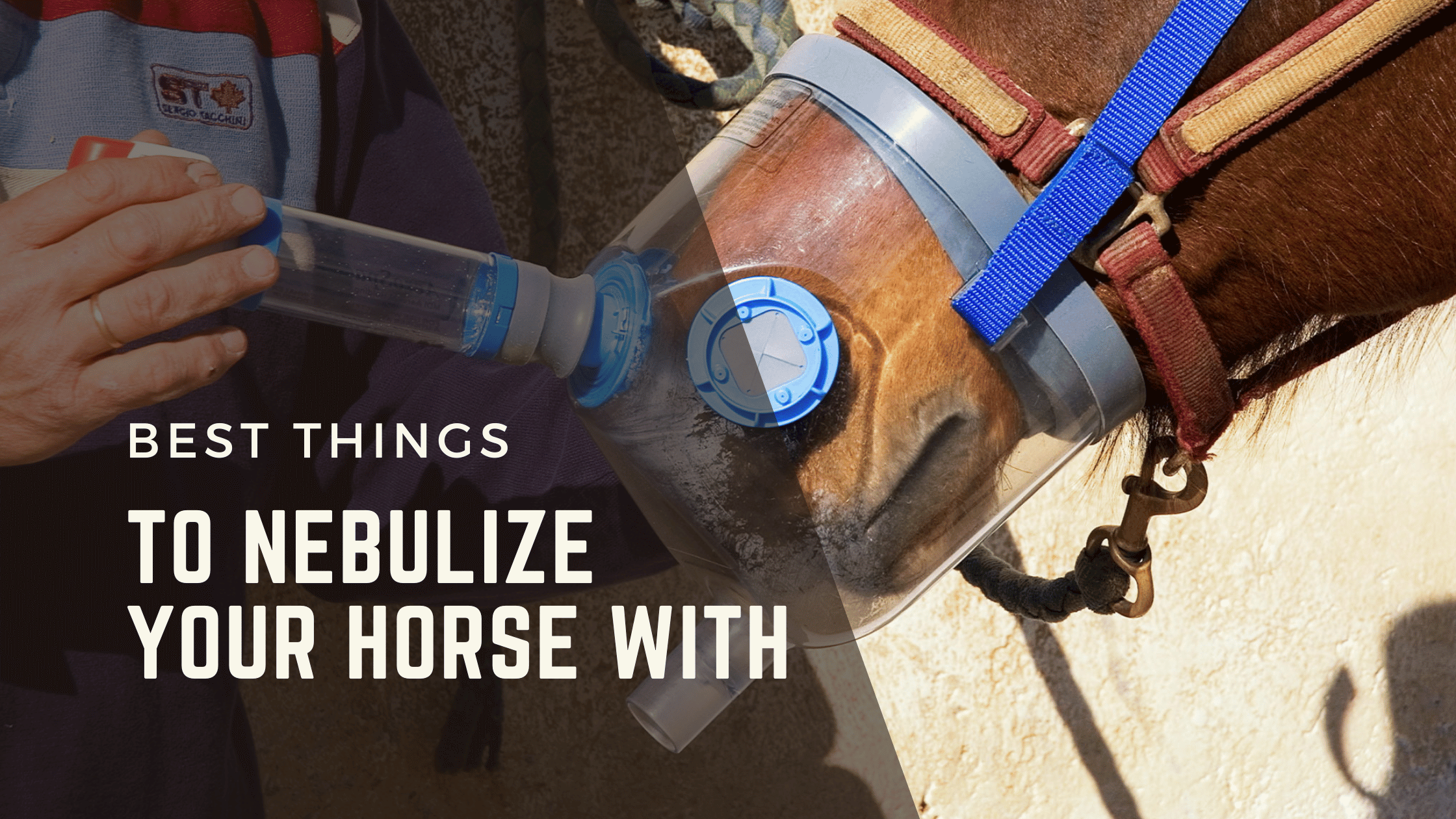 Man putting medicine into equine nebulizer