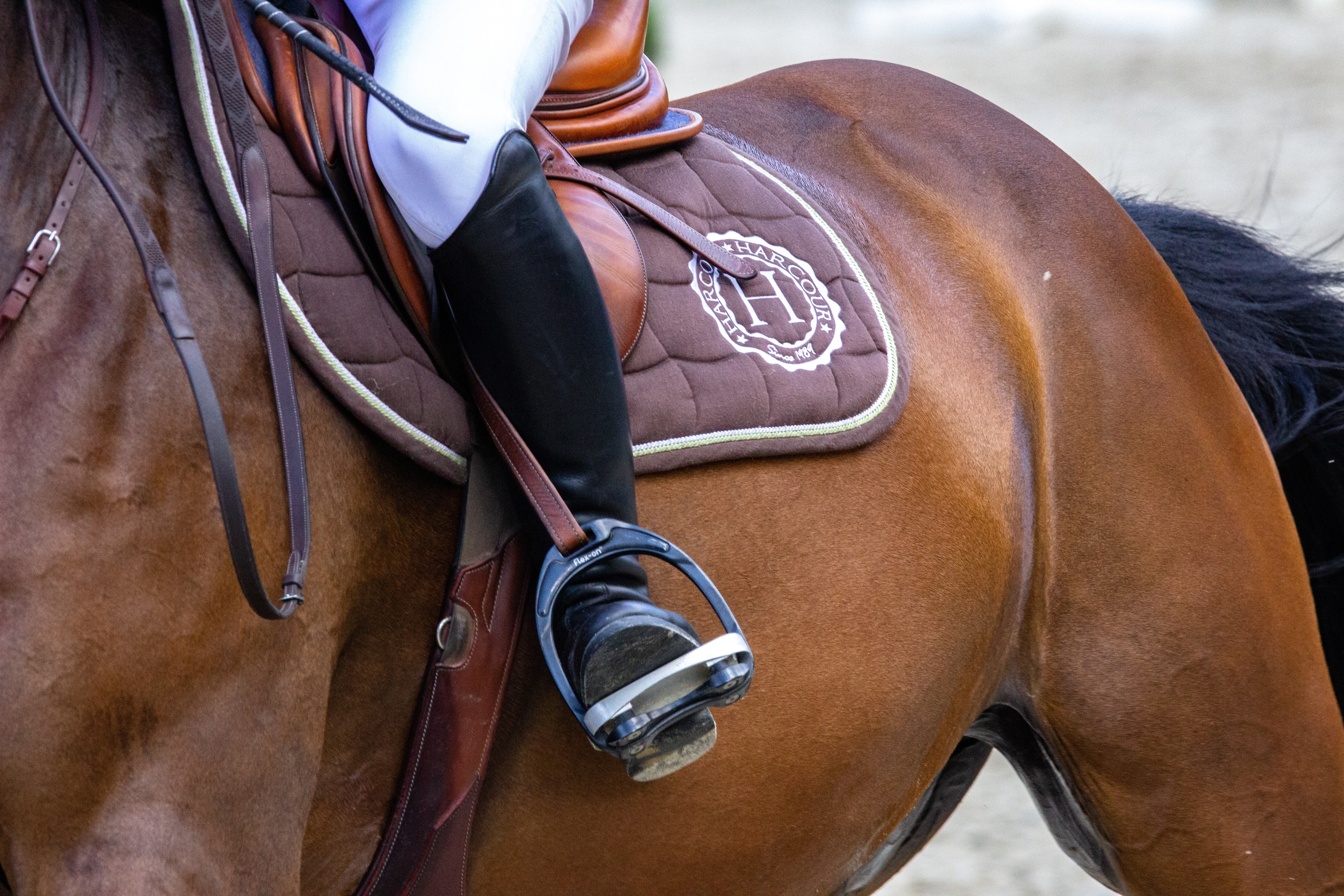 woman riding brown horse on english saddle and pad aluminum stirrups