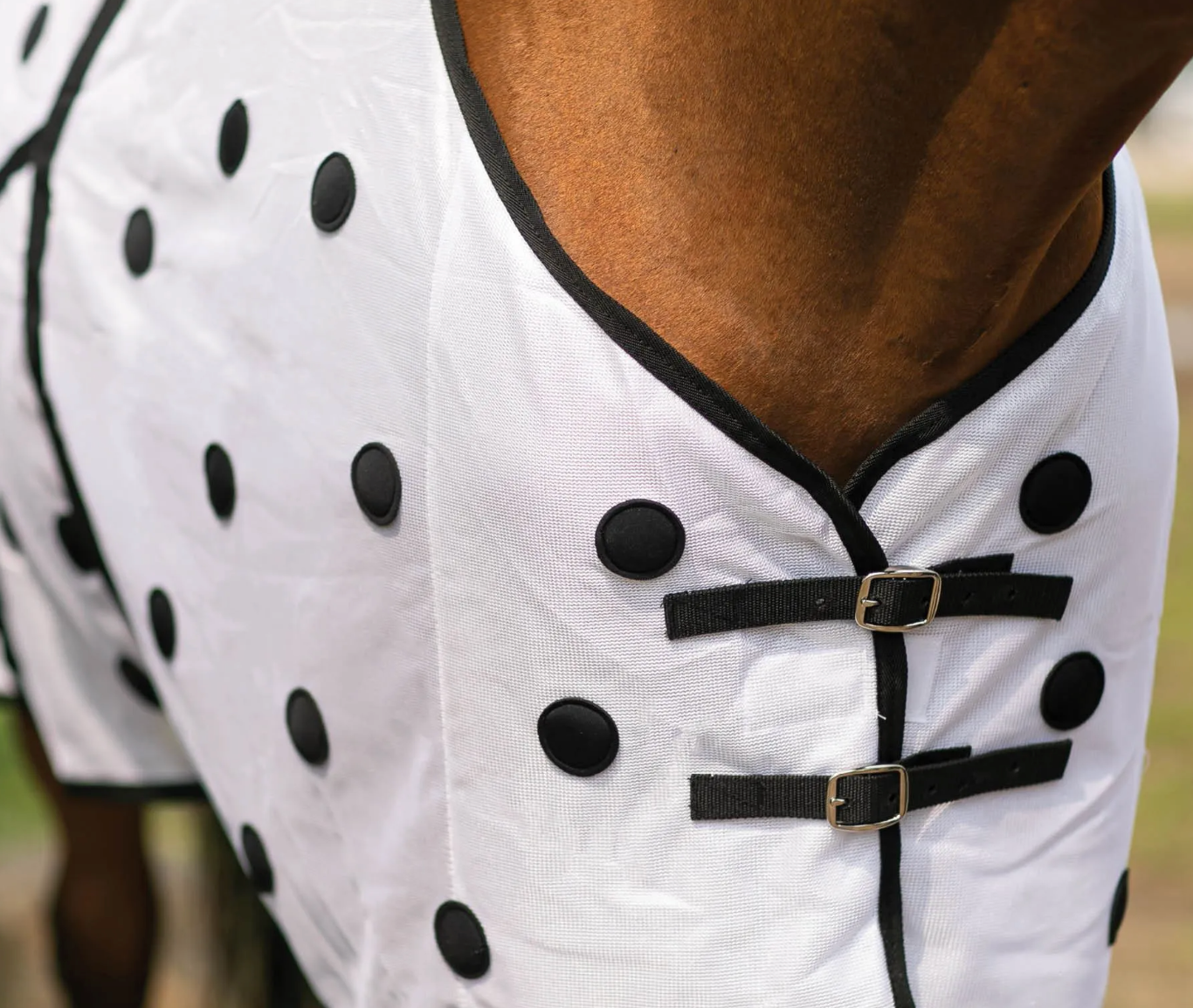 Magnetic Horse Therapy Sheets