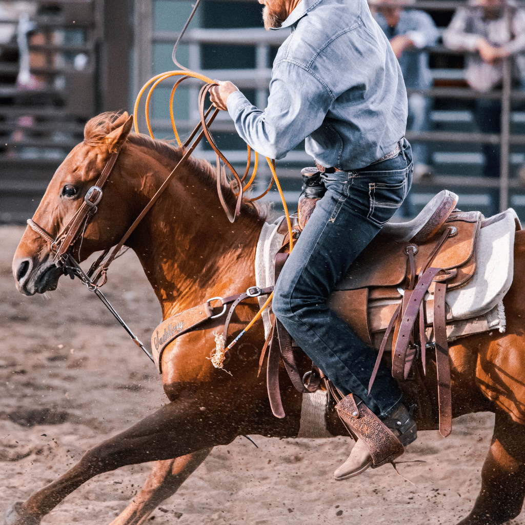 All Roping Style Saddles Collection Texan Saddles