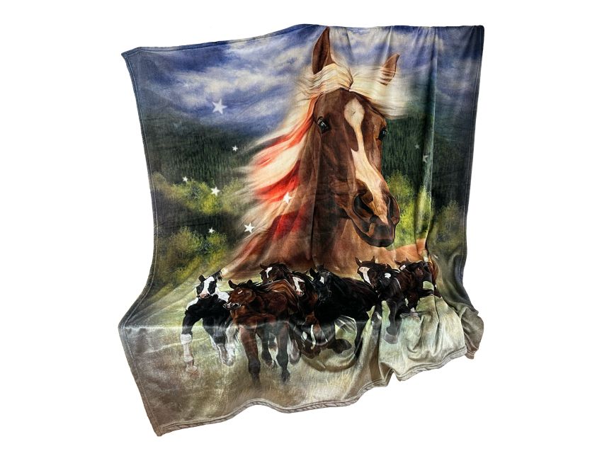 Queen Size Silk Touch Ultra Soft Blanket - Patriotic Stomp