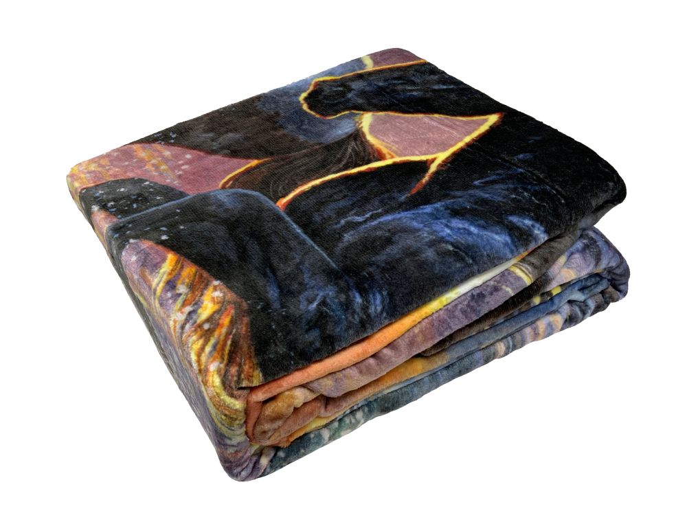 Queen Size Silk Touch Ultra Soft Blanket - Making Waves