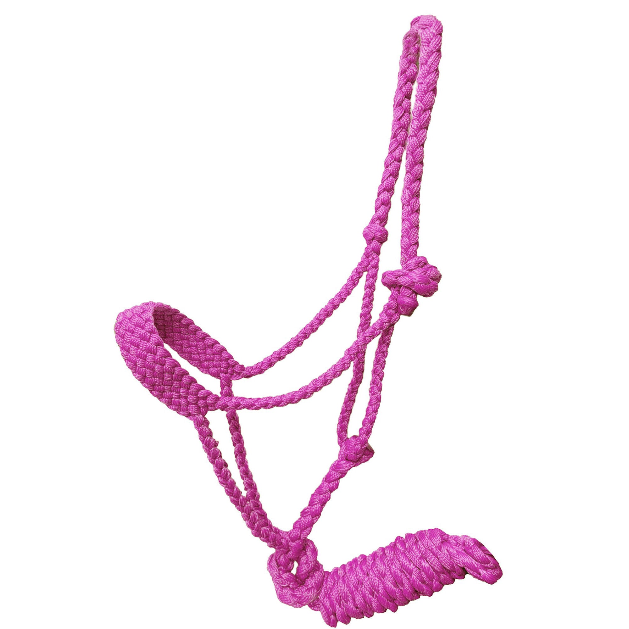 Showman Braided Mule Tape Pony Halter