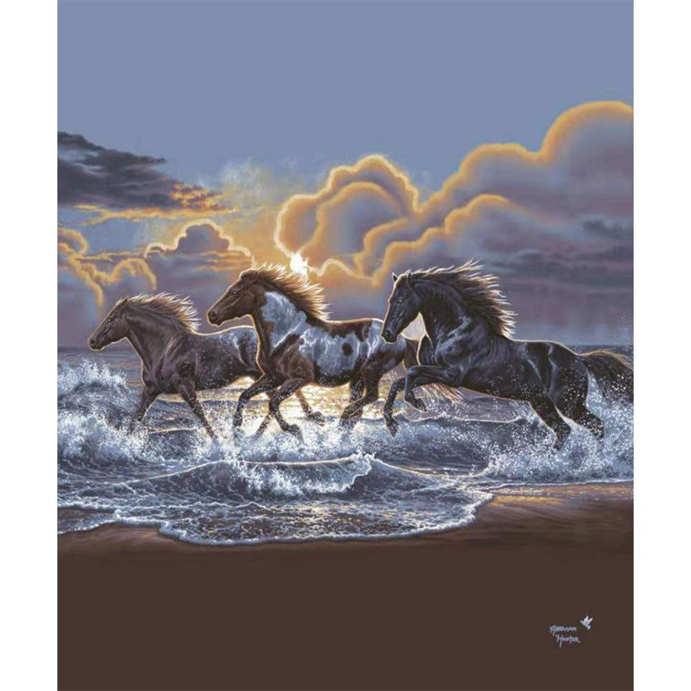 Against the Wind' Silk Touch Sherpa Lined Throw Blanket - 50" x 60"