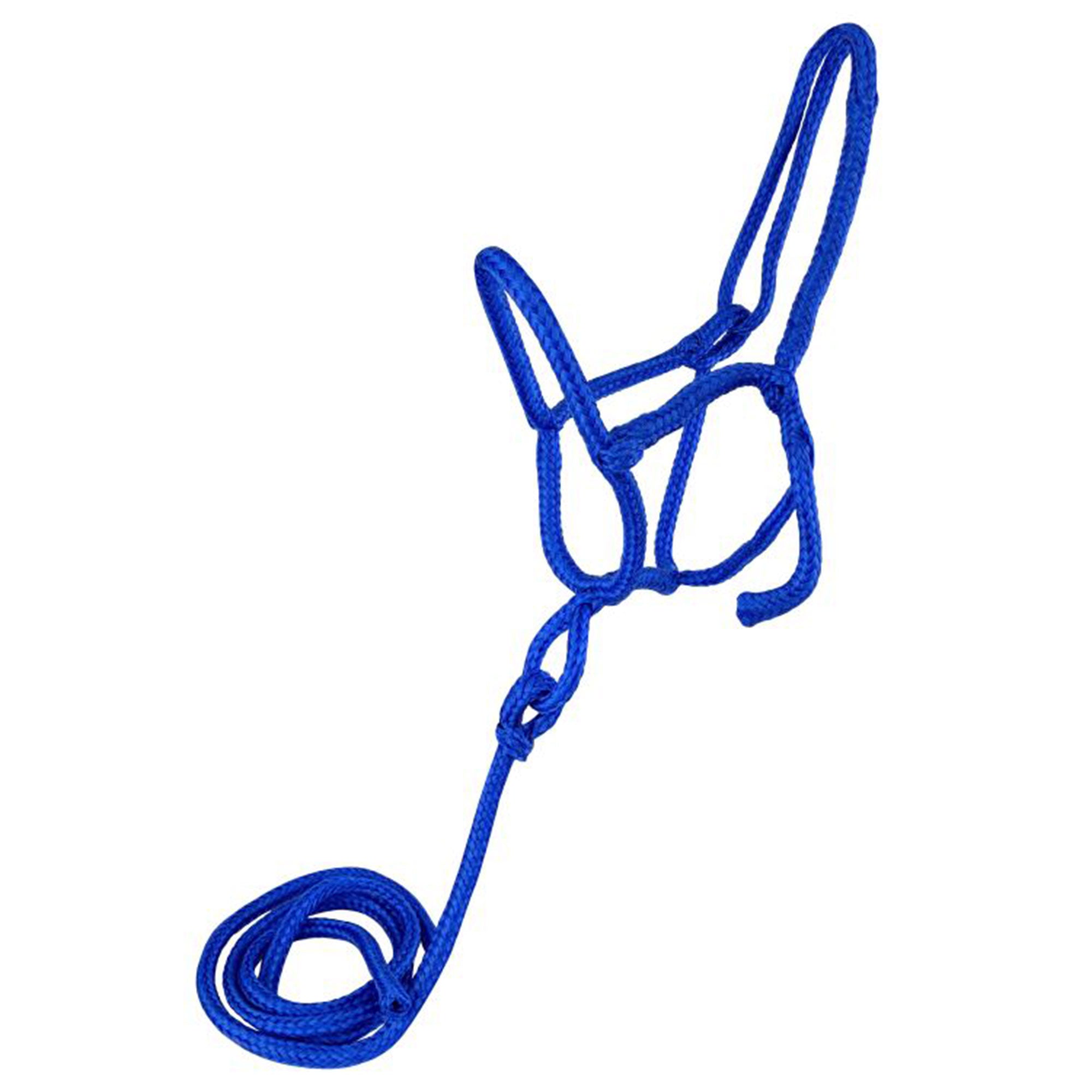 #6803 royal blue average horse size nylon rope shipping halter with removable lead