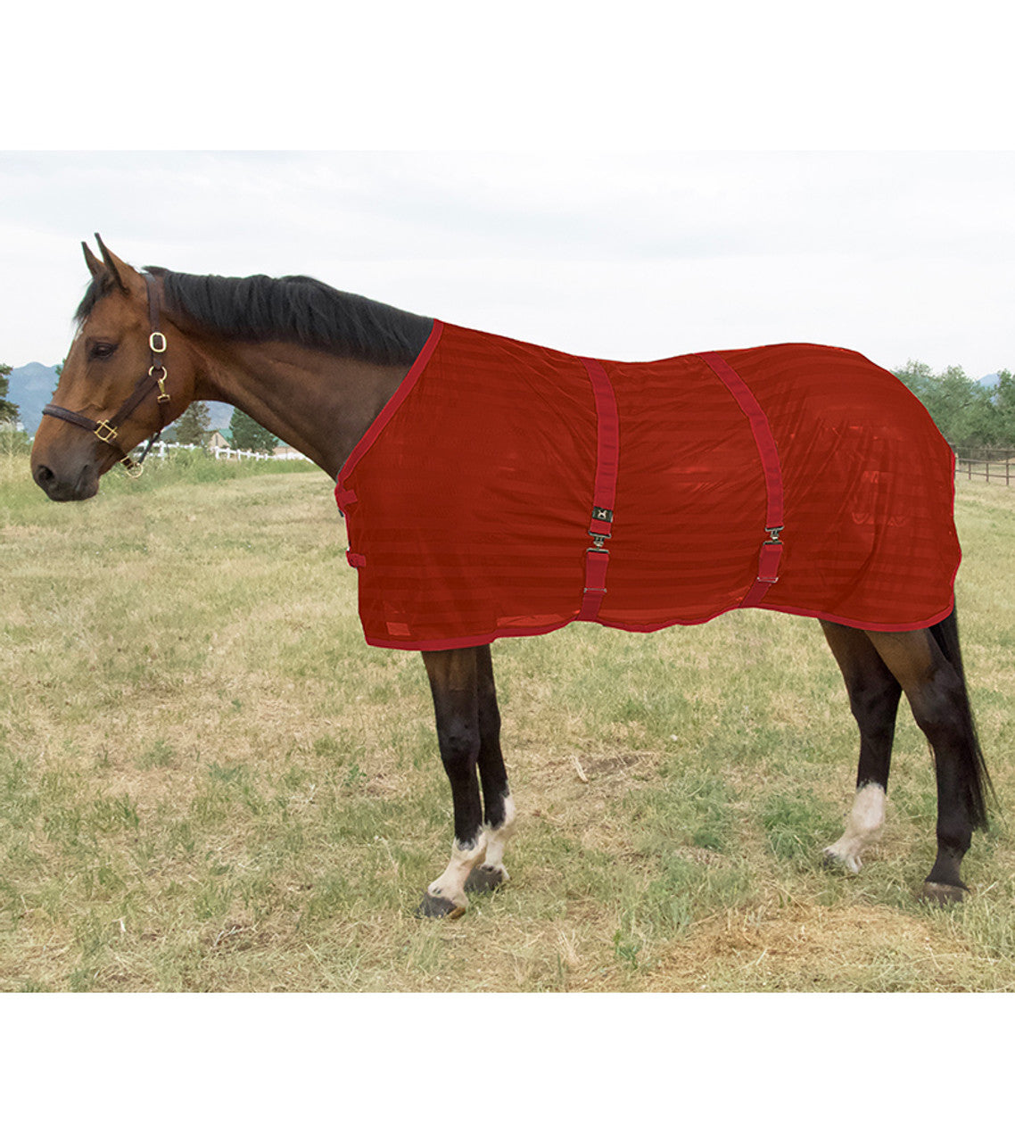 Cool Mesh Scrim Fly Sheet