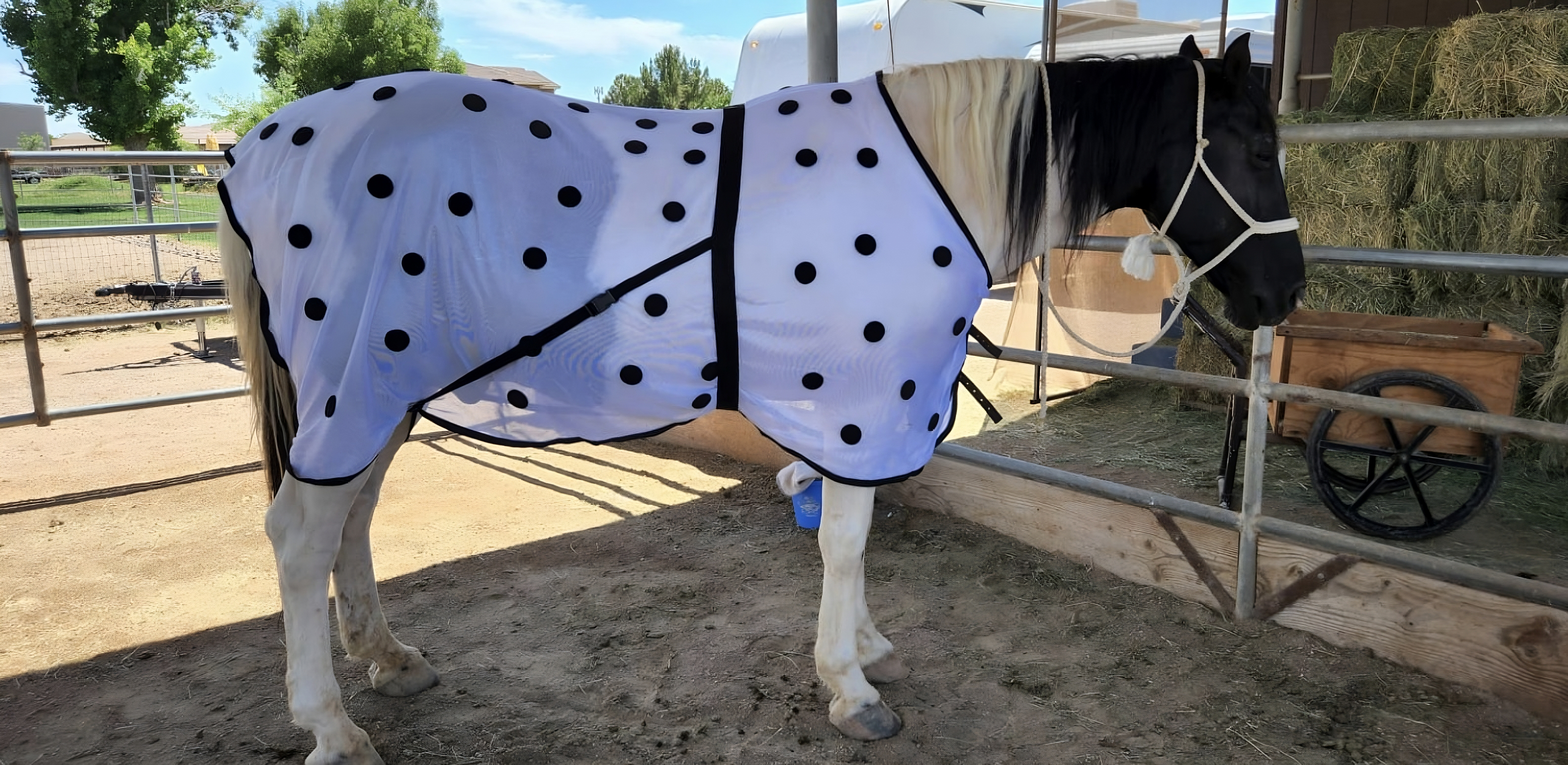 Magnetic Horse Sheet - Equestrian Magnetic Therapy Mesh Sheet