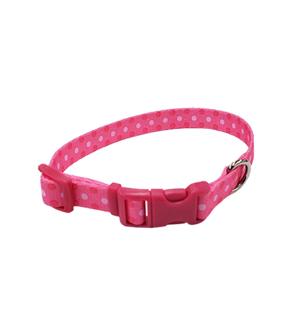 Styles Dog Leash 1" x 6'