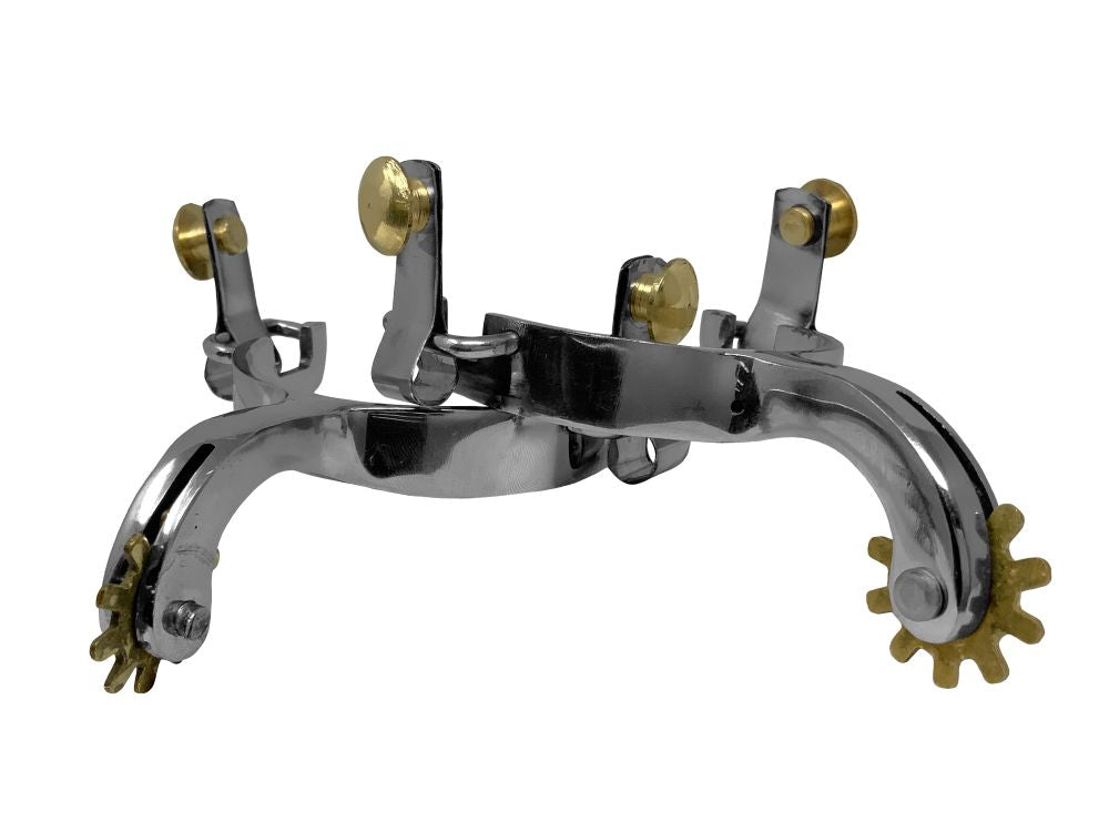 Showman Toddler Size Stainless Steel Western Spurs with Brass Rowel and Buttons