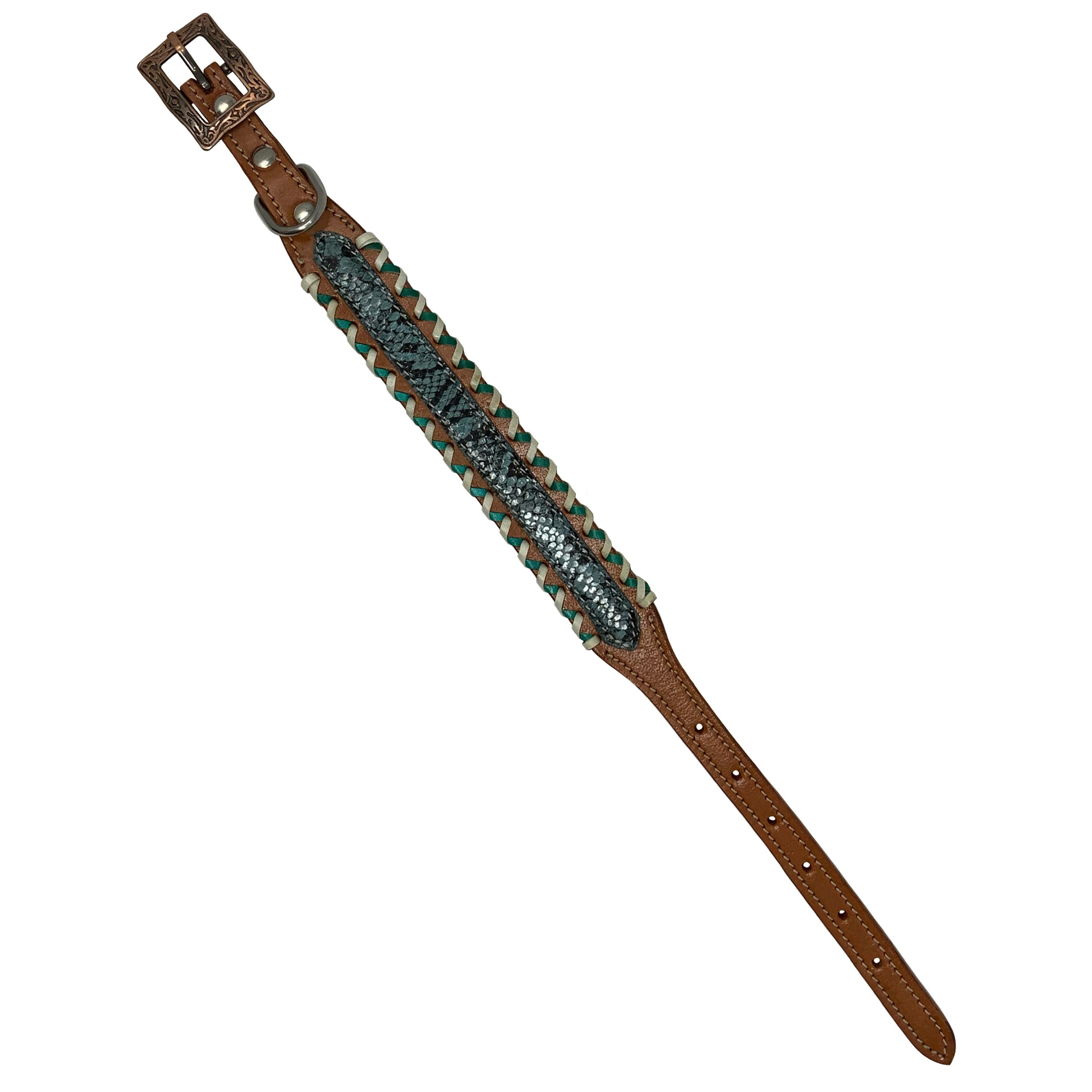 Showman Couture Teal Python Leather Dog Collar