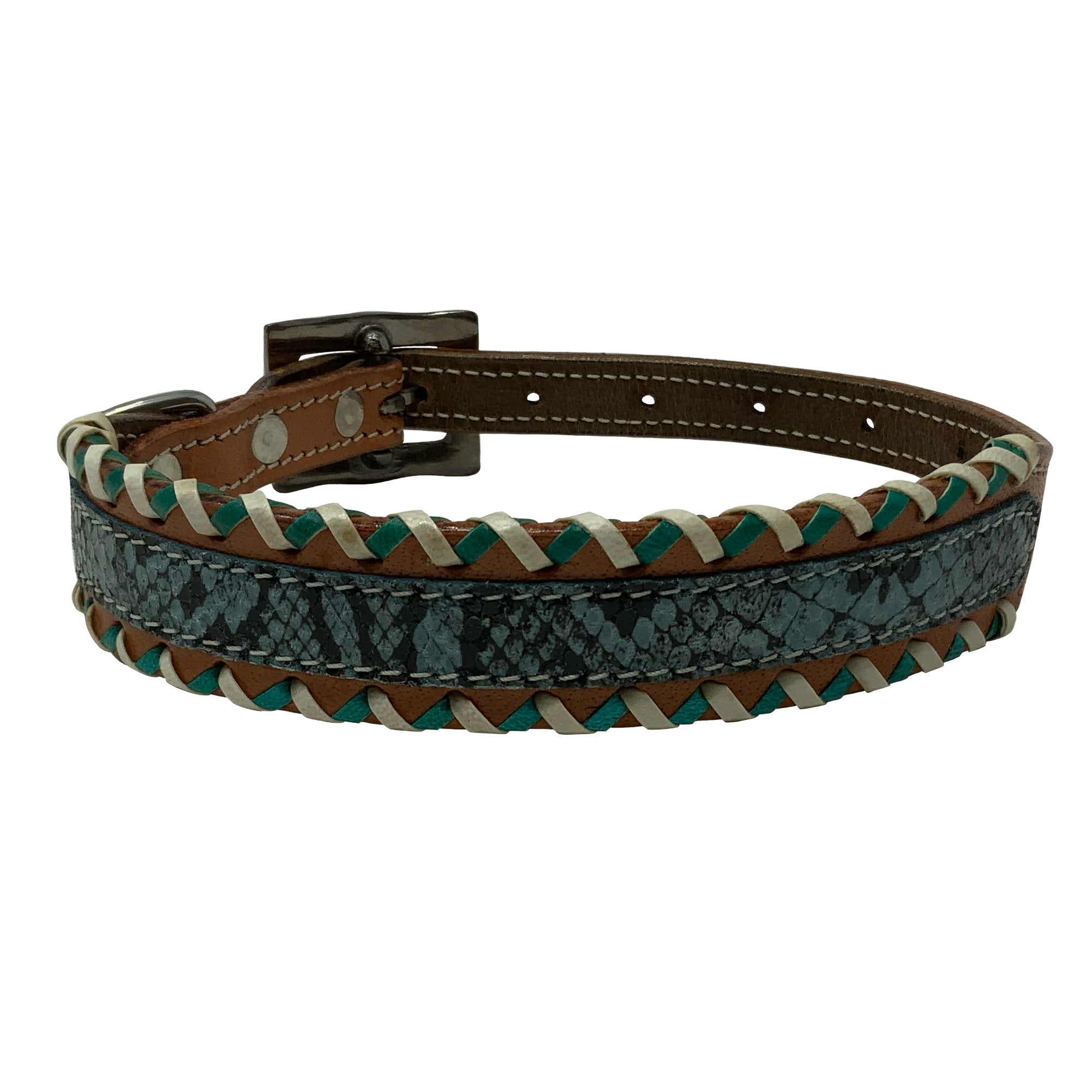 Showman Couture Teal Python Leather Dog Collar