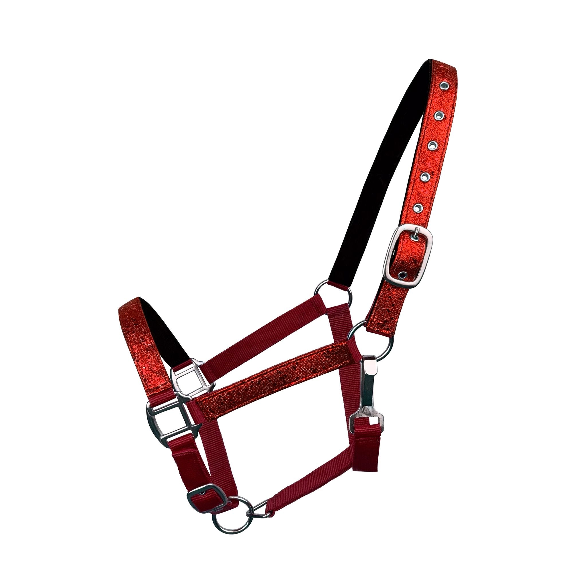 Front view of the halter highlighting the neoprene-lined crown.