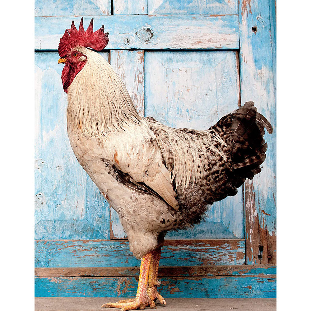 On The Farm 8 In 1 Puzzle Pack