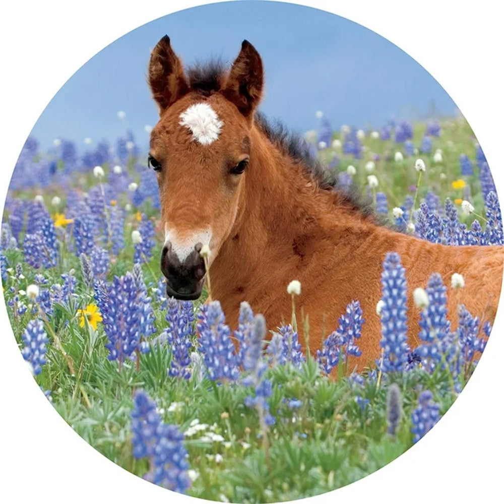 On The Farm 8 In 1 Puzzle Pack