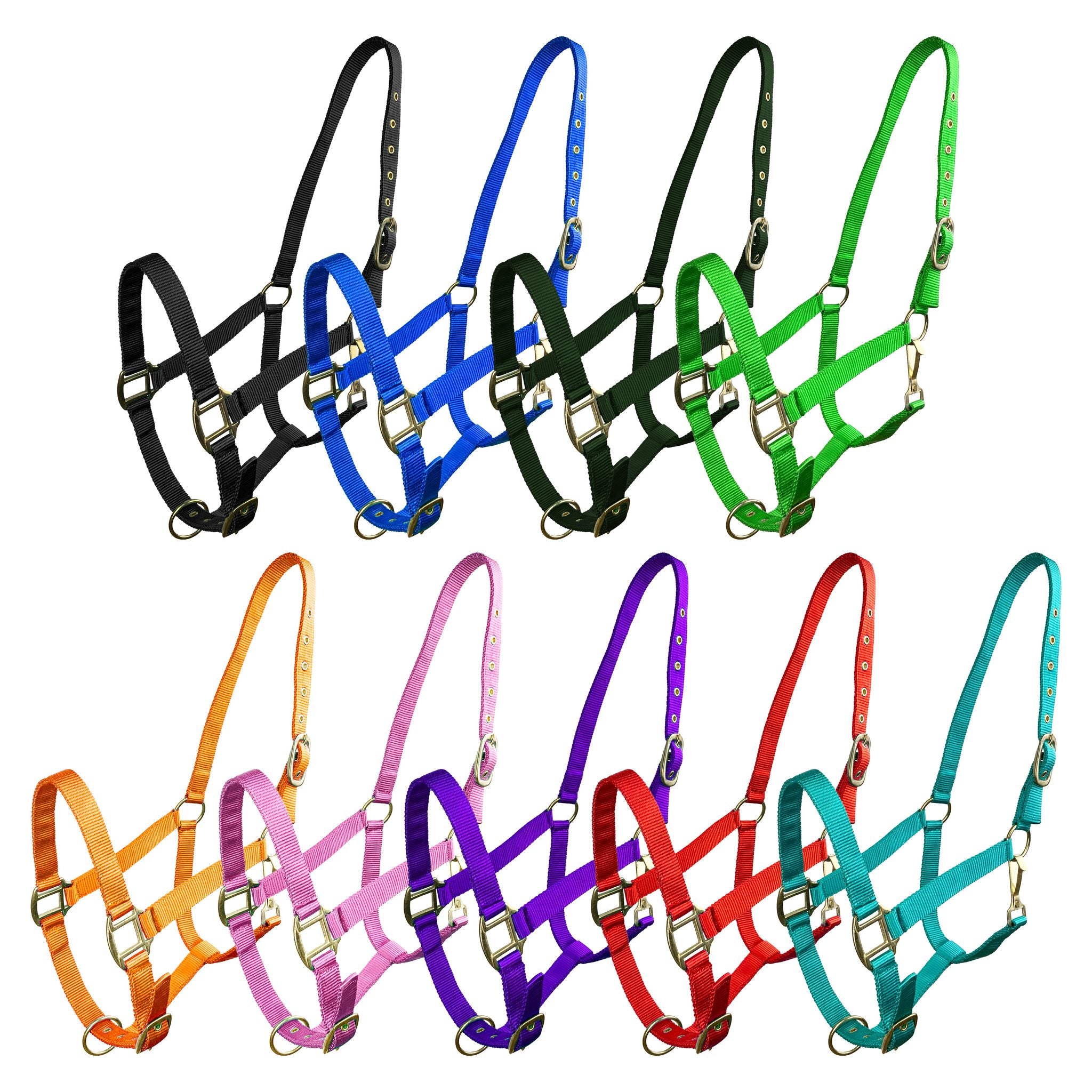 Horse size triple ply nylon halter with brass hardware, adjustable features.