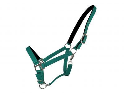 Horse Size Triple Ply Nylon Halter with Brass Hardware - View 1