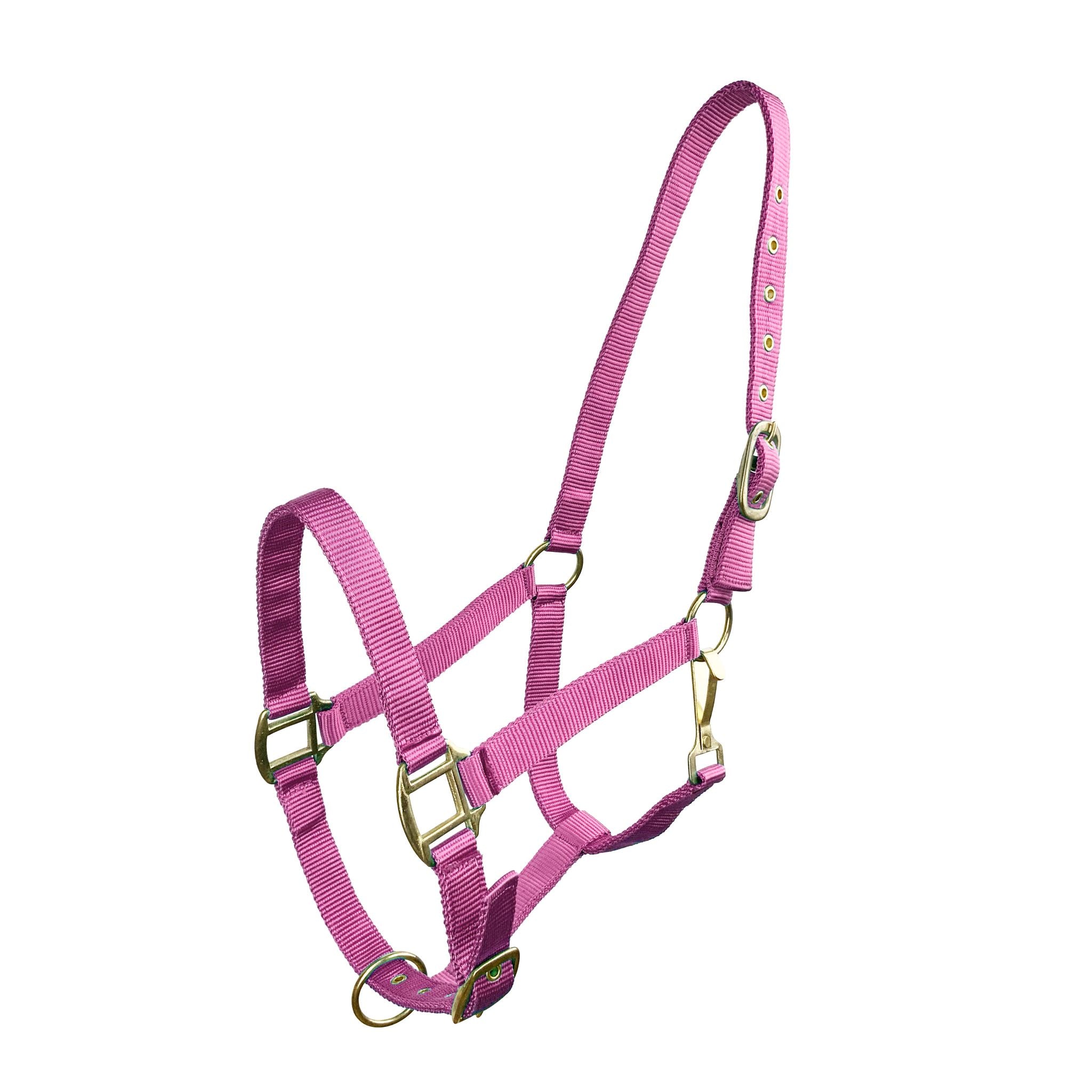 Back view of the halter emphasizing the adjustable throat latch.