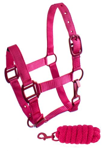 101HLP: Showman ® Pony triple ply nylon halter and lead rope with matching powder coated hardware Pony Halter Showman