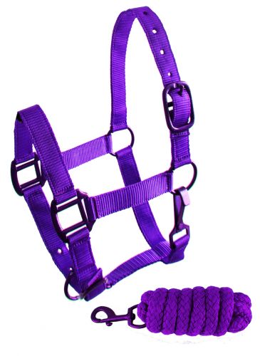 101HLP: Showman ® Pony triple ply nylon halter and lead rope with matching powder coated hardware Pony Halter Showman