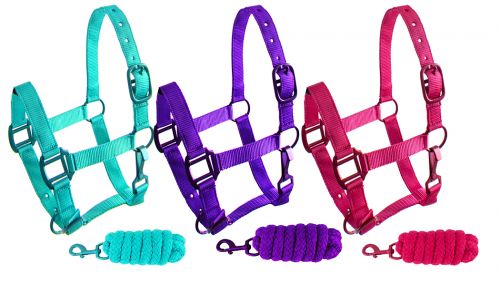 101HLP: Showman ® Pony triple ply nylon halter and lead rope with matching powder coated hardware Pony Halter Showman