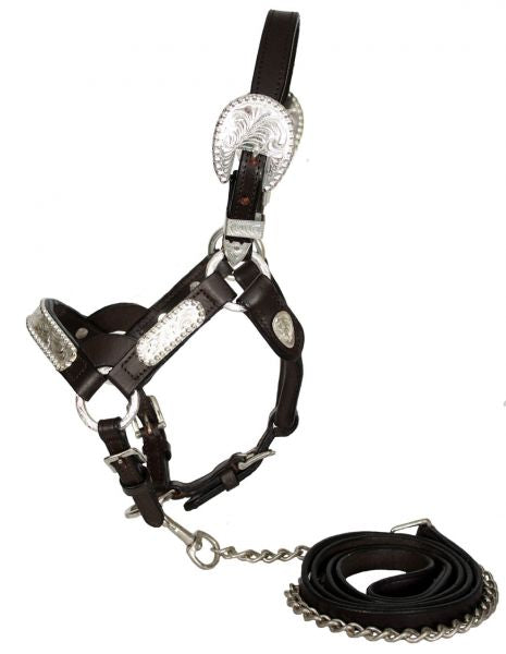 102M: Showman ® leather mini size silver show halter Show Halter Showman