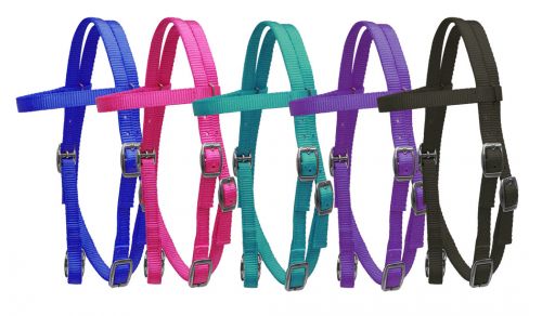 13797: Showman ® Pony Size Premium nylon browband headstall Headstall Showman