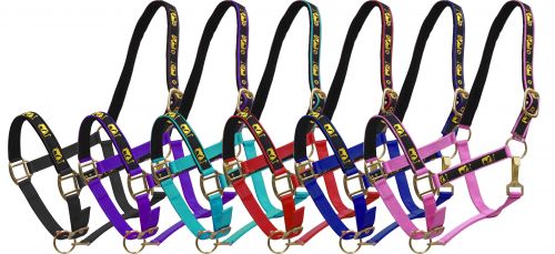 15767: Horse size nylon halter with "praying cowboy" overlay Nylon Halter Showman Saddles and Tack