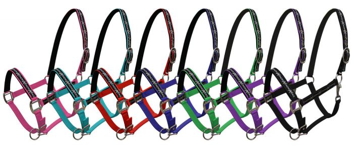 15826: Triple ply Neoprene lined nylon horse size halter with barbwire design overlay Nylon Halter Showman Saddles and Tack