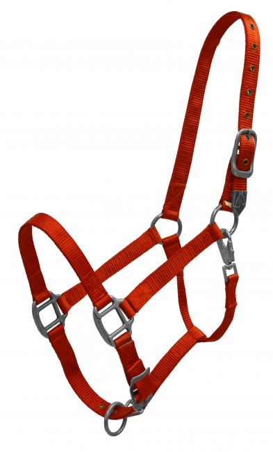 15996: Showman® Premium nylon halter with heavy duty hardware and a heavy swivel snap Nylon Halter Showman