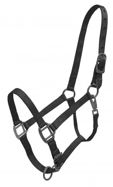 15996: Showman® Premium nylon halter with heavy duty hardware and a heavy swivel snap Nylon Halter Showman