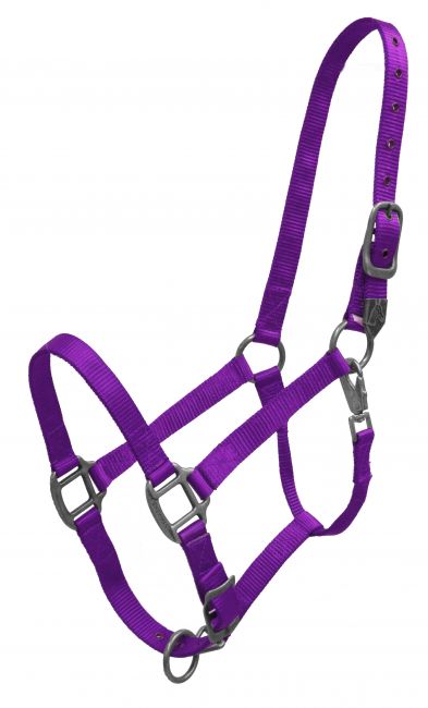 15996: Showman® Premium nylon halter with heavy duty hardware and a heavy swivel snap Nylon Halter Showman