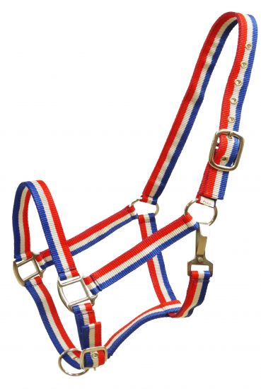 16048: Showman® Red, white and blue striped nylon halter Nylon Halter Showman