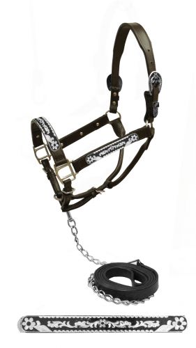 161099: Showman ® Dark leather with a black inlay silver plates and buckles with a daisy flower de Show Halter Showman