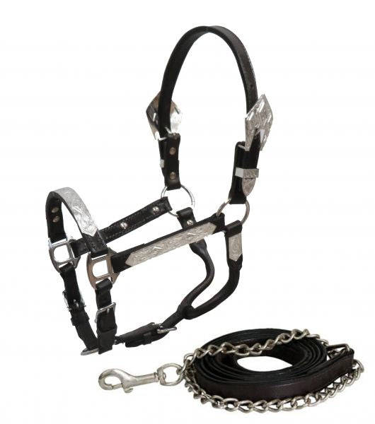 161112P: Showman ® Pony Dark leather show halter with lead Show Halter Showman