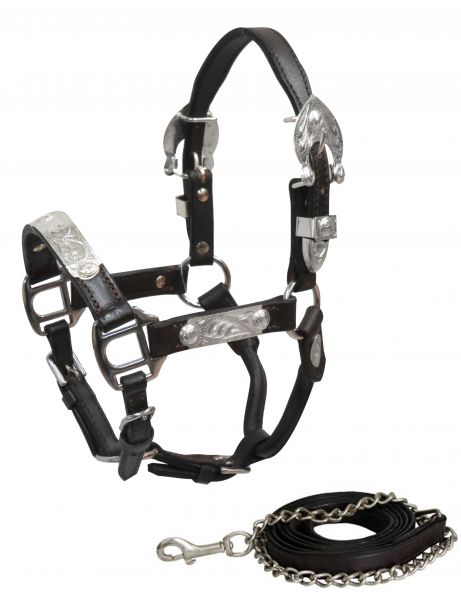 161121: Showman ® Mini Dark leather show halter with lead Show Halter Showman