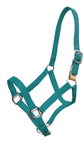 16151: Showman ® 3 ply nylon breakaway halter Breakaway Halter Showman