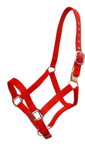 16151: Showman ® 3 ply nylon breakaway halter Breakaway Halter Showman