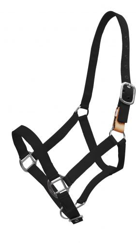 16151: Showman ® 3 ply nylon breakaway halter Breakaway Halter Showman