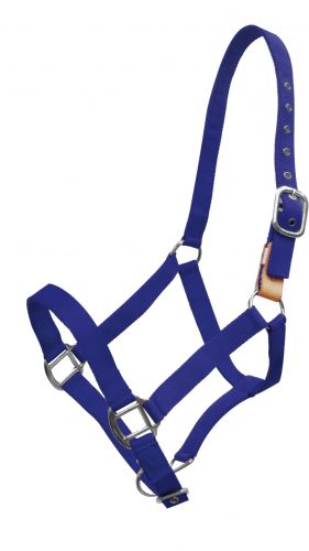 16151: Showman ® 3 ply nylon breakaway halter Breakaway Halter Showman