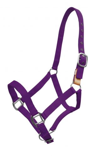 16151: Showman ® 3 ply nylon breakaway halter Breakaway Halter Showman