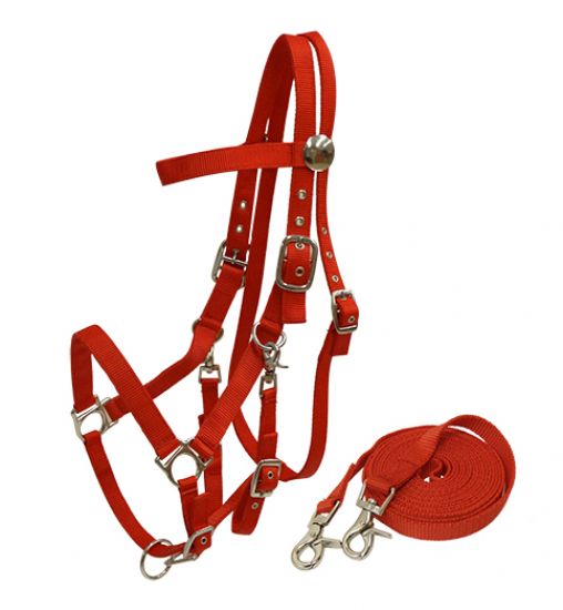 16157: Nylon combination halter bridle with reins Nylon Halter Showman Saddles and Tack