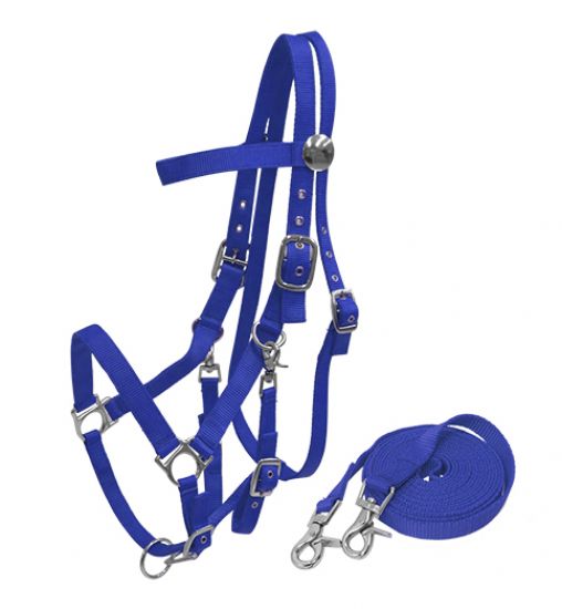 16157: Nylon combination halter bridle with reins Nylon Halter Showman Saddles and Tack
