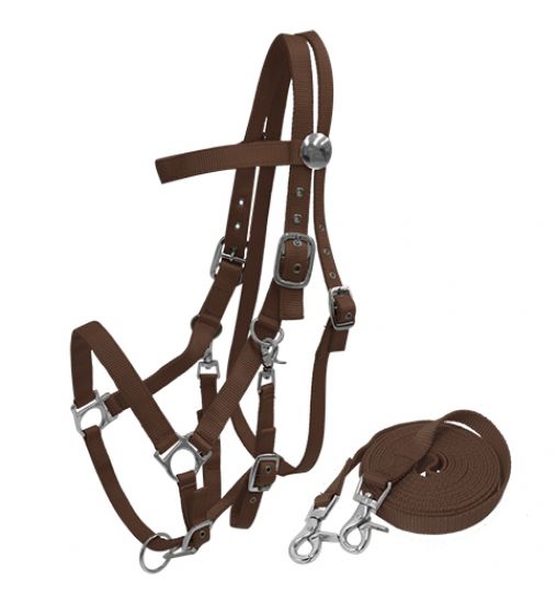 16157: Nylon combination halter bridle with reins Nylon Halter Showman Saddles and Tack