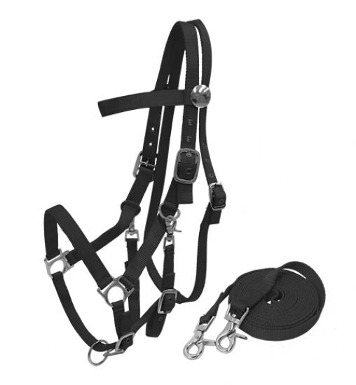 16157: Nylon combination halter bridle with reins Nylon Halter Showman Saddles and Tack