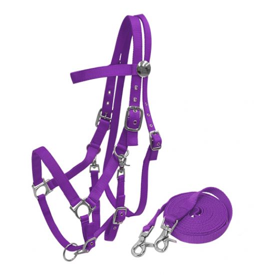 16157: Nylon combination halter bridle with reins Nylon Halter Showman Saddles and Tack