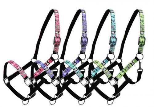 16342: Showman ® Full Size Aztec print overlay nylon halter Nylon Halter Showman