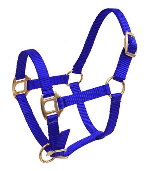 16402: Showman ® Premium nylon halter with brass hardware Nylon Halter Showman