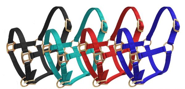 16402: Showman ® Premium nylon halter with brass hardware Nylon Halter Showman