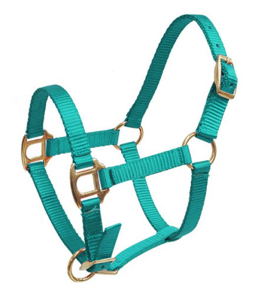 16402: Showman ® Premium nylon halter with brass hardware Nylon Halter Showman